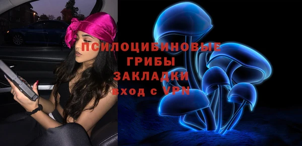 метадон Карпинск