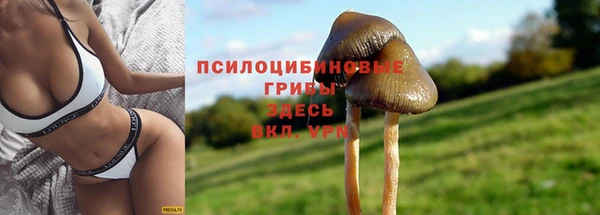 mdpv Касимов