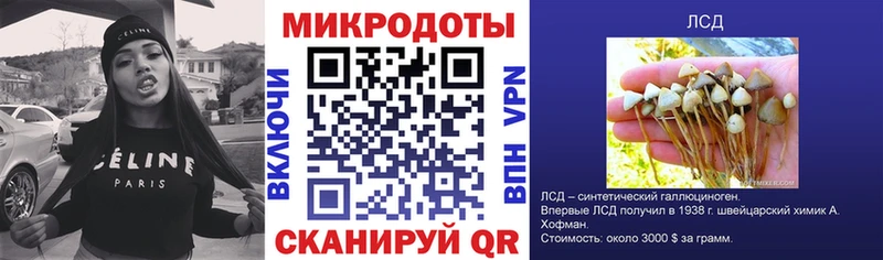 Купить где  Ардатов  Псилоцибиновые грибы Psilocybe 